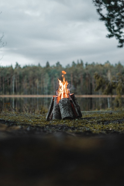 Vertical shot of a campfire surrounded by greenery under a cloudy sky in the morning