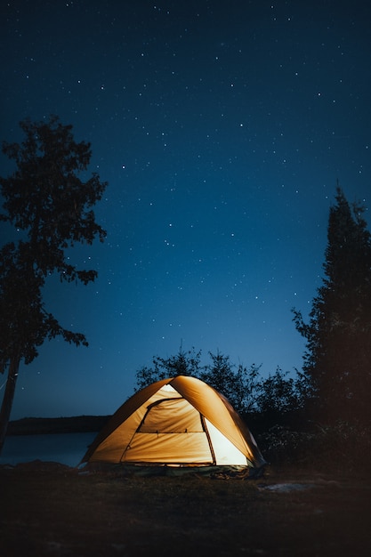 Vertical shot of a camping tent near trees during nighttime