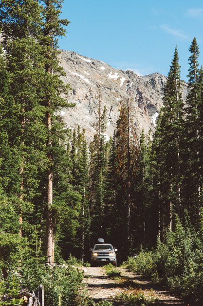 Vertical shot of a car driving on a pathway in the middle of a forest with mountains in background