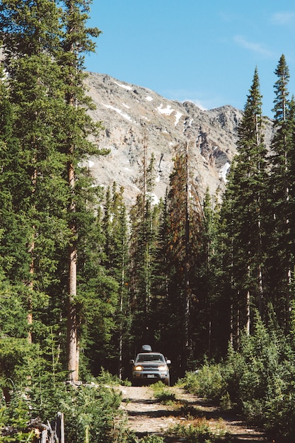 Vertical shot of a car driving on a pathway in the middle of a forest with mountains in background