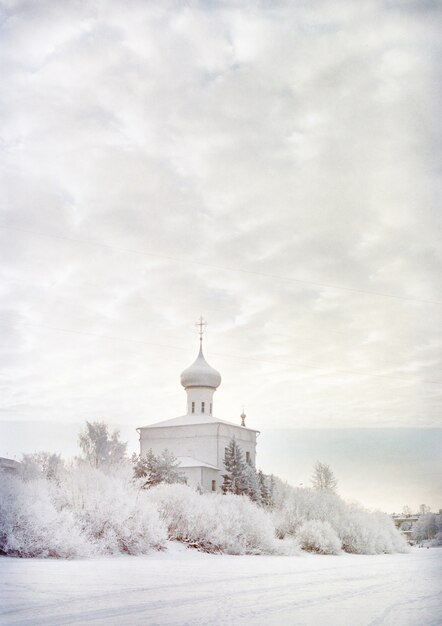 Vertical shot of a castle surrounded by snow during winter