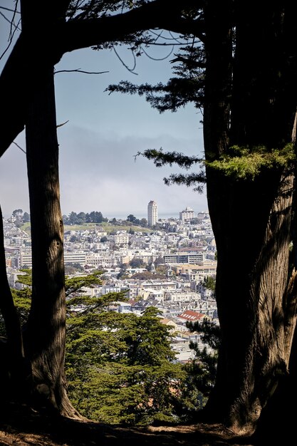 Vertical shot of Castro District in San Francisco with trees in the foreground