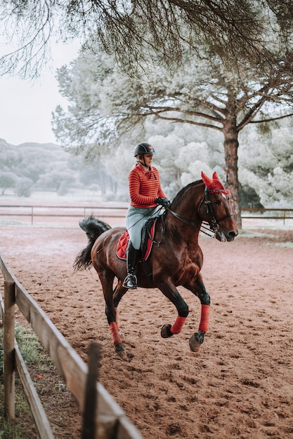 Vertical shot of a A Caucasian woman riding a brown horse in the horse arena