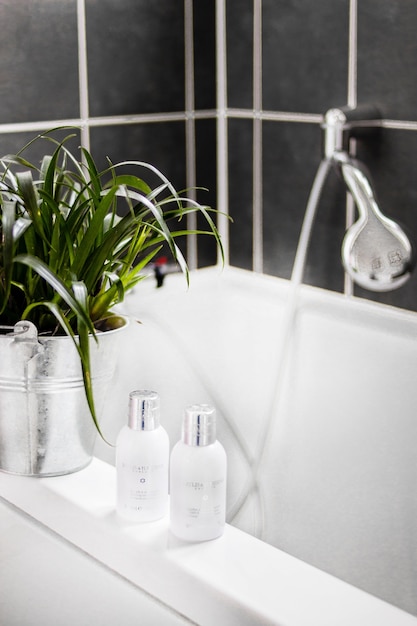 Foto gratuita colpo verticale di champoos e un secchio con piante verdi sul bagno