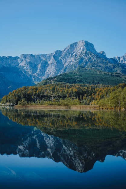 Vertical shot of a clear sea in the mountains with a green forest