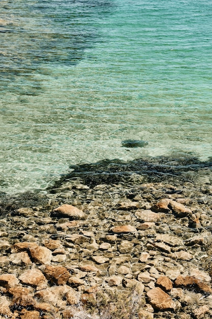 Colpo verticale di un mare limpido dell'acqua vicino alle rocce di giorno