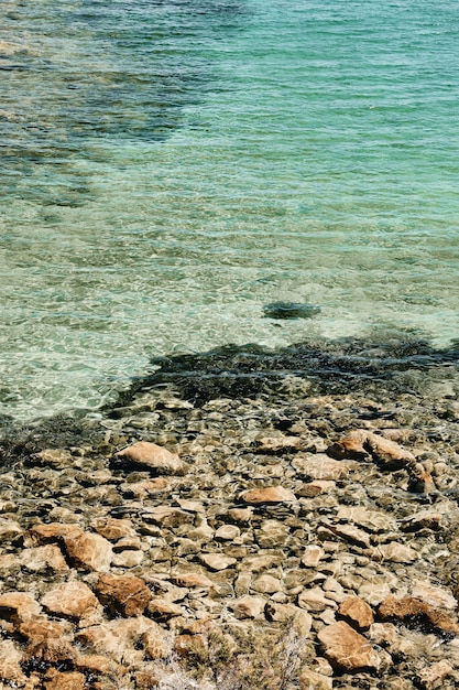 Vertical shot of a clear water sea near the rocks at daytime