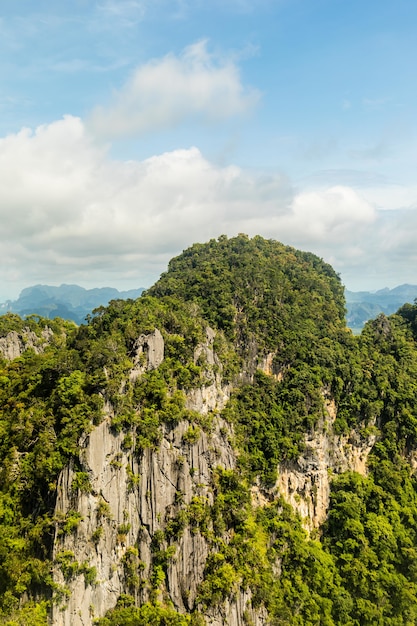 Vertical shot of a cliff covered with green plants under a blue sky with clouds