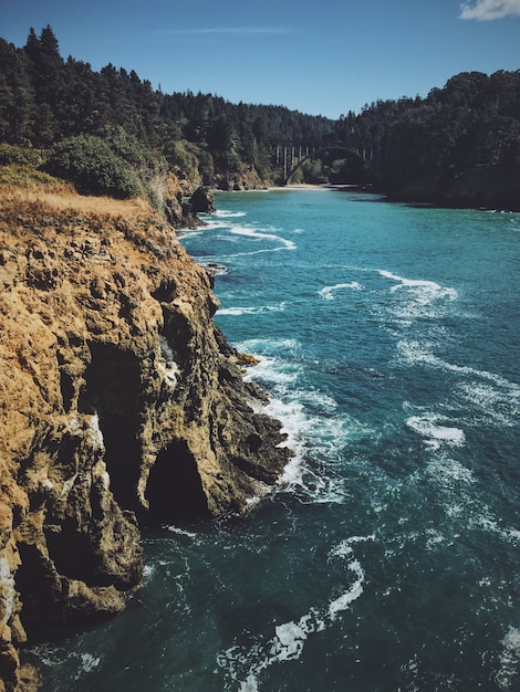 Free photo vertical shot of a cliff near a lake with a forest