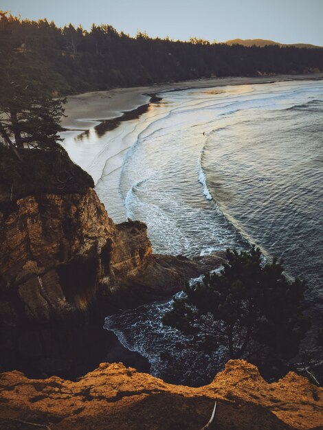 Vertical shot of a cliff near a sea with the forest around it