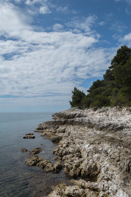 Вертикальный снимок прибрежной скалы под голубым небом, покрытым облаками