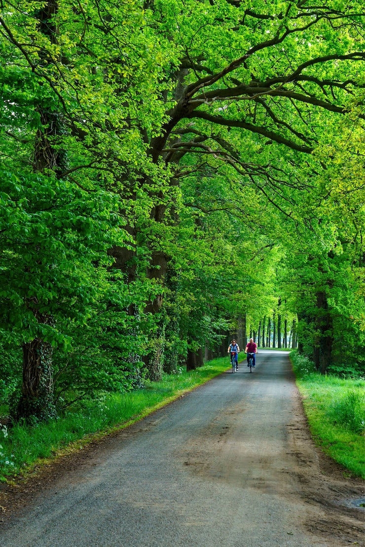 Free Photo vertical shot of cyclers riding in a green garden