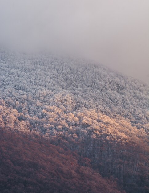 Вертикальный снимок густой горы и туманного неба