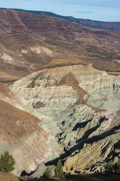 Vertical shot of a desert with stone formations