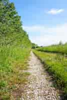 Free photo vertical shot of a dirt road with trees and grass field on the sides