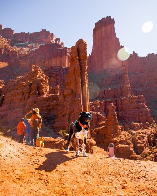 Vertical shot of a dog with a red leash standing near people and deserted cliffs in background
