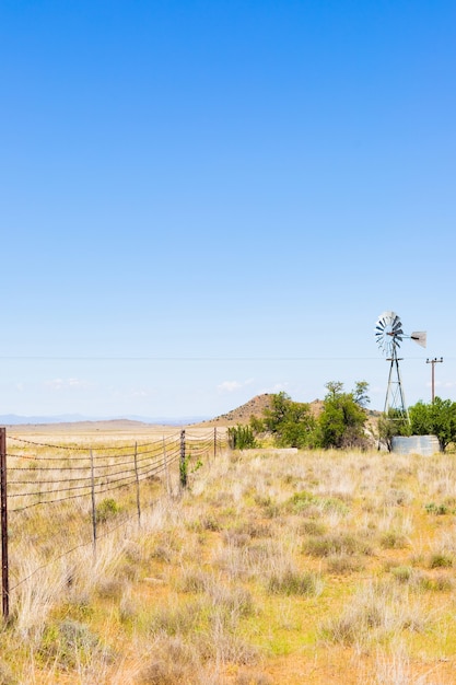 Vertical shot of dry field on background of the blue sky