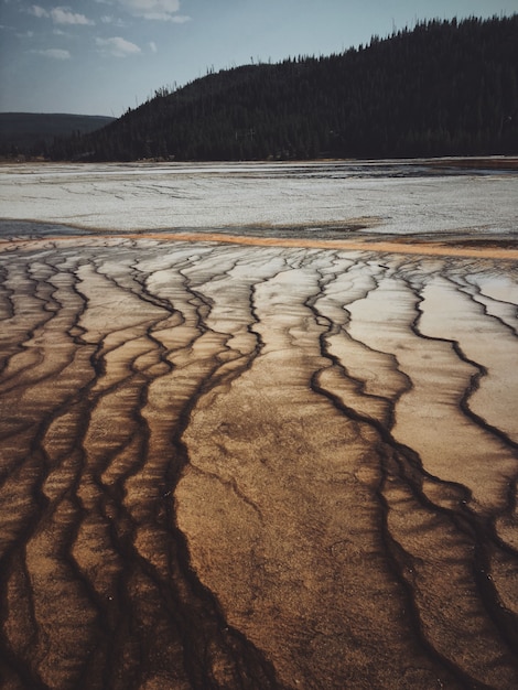 Vertical shot of a dry salt lake with a forested mountain