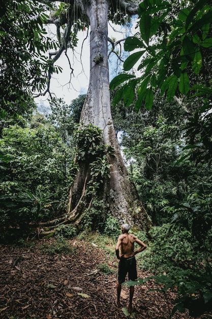 Вертикальный снимок пожилого мужчины, стоящего возле высокого дерева в лесу