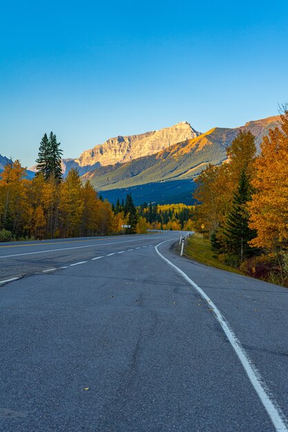 Vertical shot of empty highway road along with autumn trees in Kananaskis, Alberta, Canada