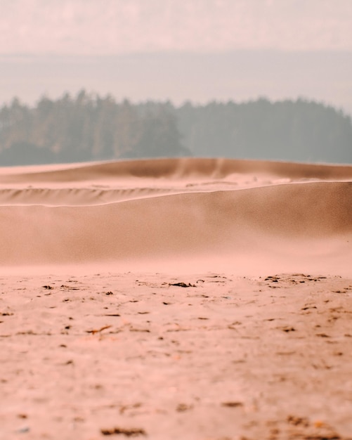 Вертикальный снимок пустого песчаного пляжа