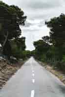 Foto gratuita colpo verticale di una strada infinita nel mezzo di una foresta