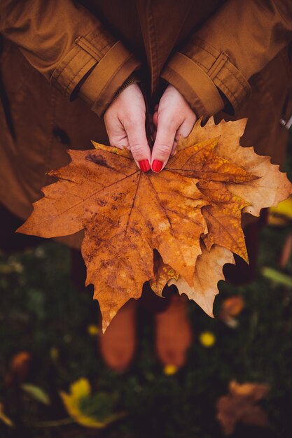 Vertical shot of a female with a red manicure wearing a brown coat holding autumn maple leaves