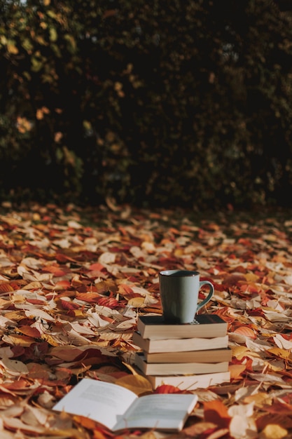 Vertical shot of a few books and a cup of coffee on the ground covered with autumn leaves