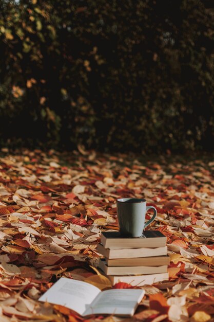 Вертикальный снимок нескольких книг и чашку кофе на земле, покрытой осенними листьями