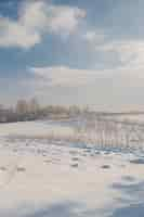 Free photo vertical shot of a field covered in the snow under the sunlight at daytime