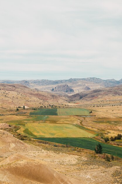 Vertical shot of fields visible from a hill