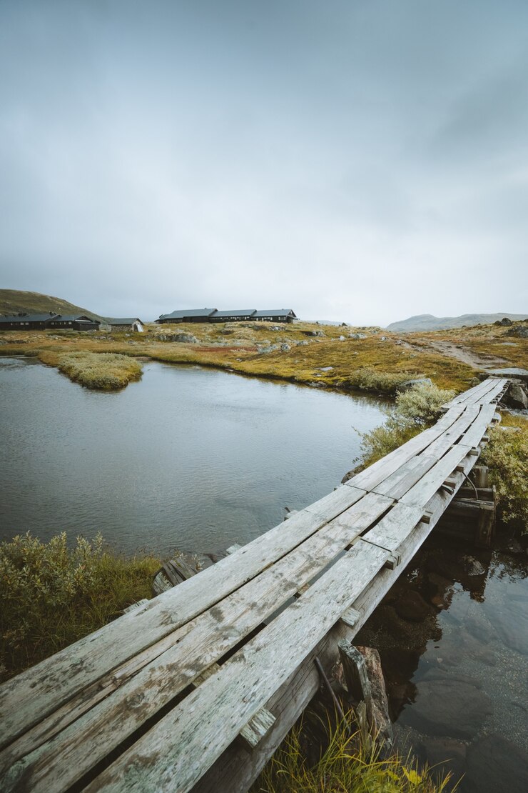 Free Photo vertical shot fo a wooden dock over a lake in finse, norway