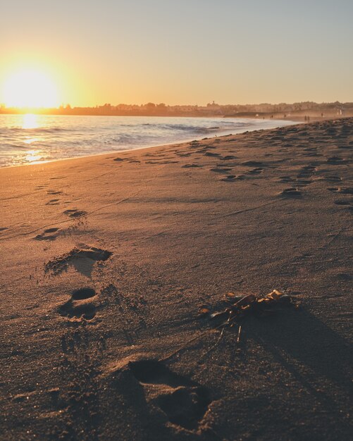 Vertical shot of footprints on the sea white with the sun shining