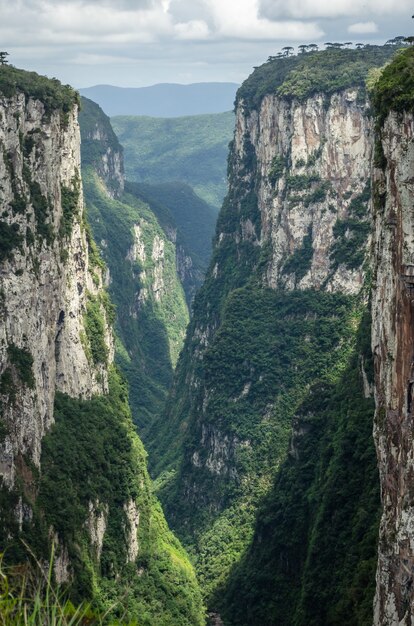 Vertical shot of forested hills under a cloudy blue sky