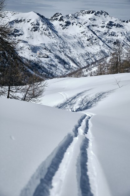 Col de la Lombarde-Isola 2000 France에서 눈으로 덮여 숲이 우거진 산의 세로 샷