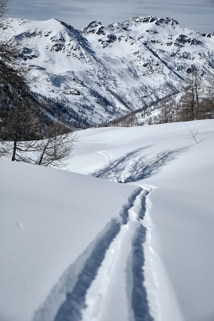 Col de la Lombarde-Isola 2000 France에서 눈으로 덮여 숲이 우거진 산의 세로 샷