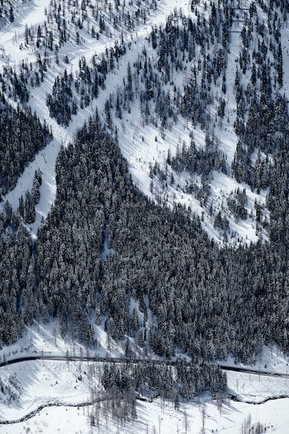 Col de la Lombarde에서 눈으로 덮여 숲이 우거진 산의 세로 샷