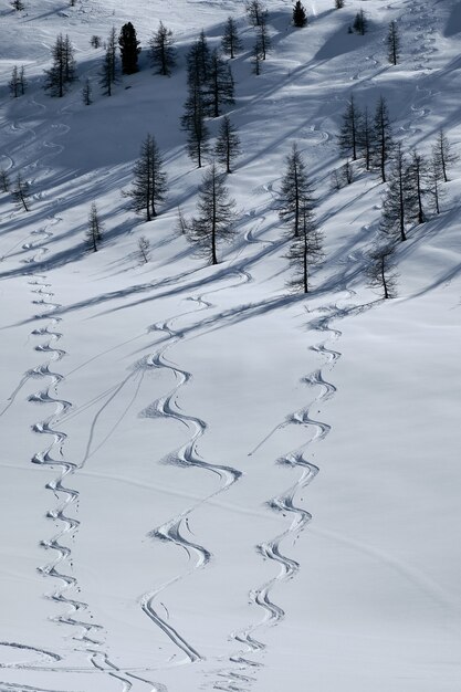 Vertical shot of a forested mountain covered in snow in Col de la Lombarde