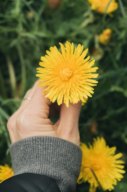 Free photo vertical shot of a girl holding a yellow dandelion