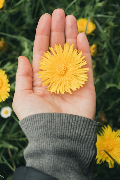 Vertical shot of a girl holding a yellow dandelion