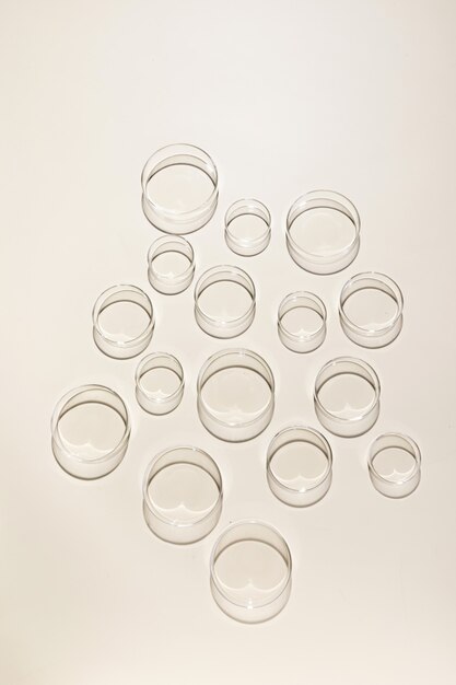 Vertical shot of glass petri dish on smooth pink background