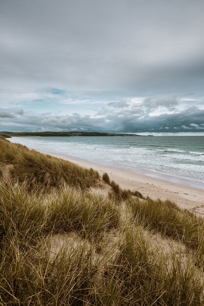 Vertical shot of the grass covered beach by the calm ocean captured in Cornwall, England