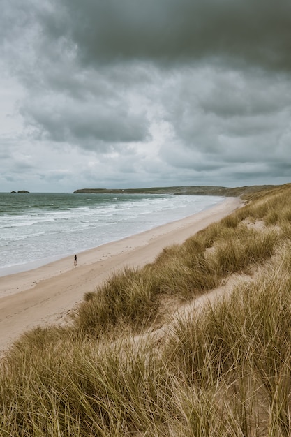 콘월, 영국에서 캡처 한 잔잔한 바다 잔디 덮여 해변의 세로 샷