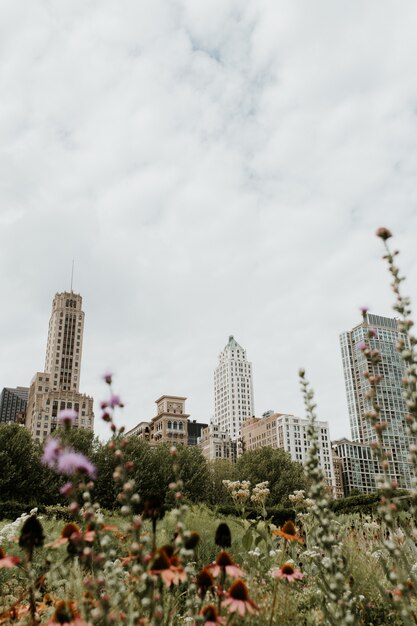 Vertical shot of a grassy field full of flowers in Chicago with skyscrapers visible in distance