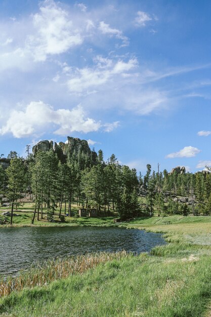 Vertical shot of a grassy field near water and trees with blue sky