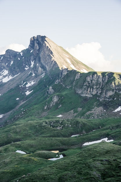 Vertical shot of grassy hills near a mountain with a clear sky in the background