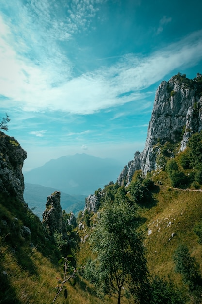 Vertical shot of grassy hills with trees and mountains in the distance