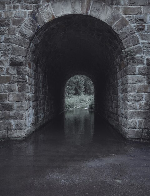 Vertical shot of a gray stone water tunnel