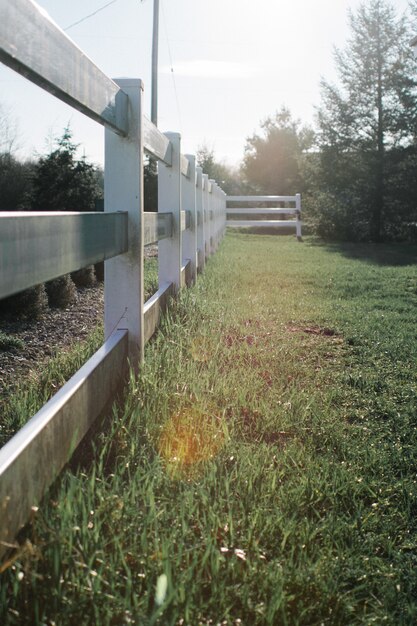 Vertical shot of gray wooden fences in a grass field during daytime