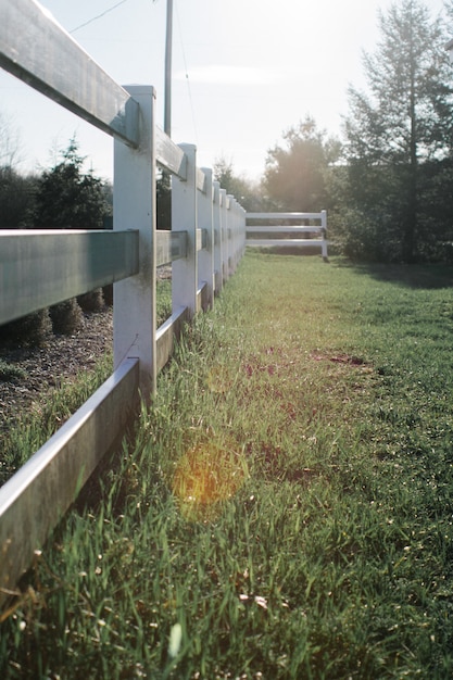 Vertical shot of gray wooden fences in a grass field during daytime